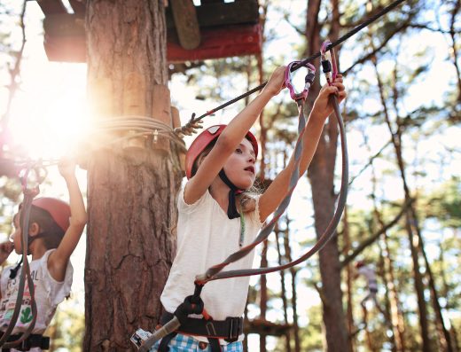 enfants sur un arbre qui font de l'accrobranche