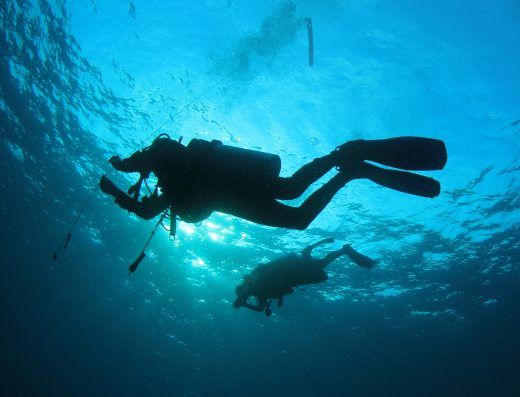 Plongeurs sous-marins explorant les fonds marins lors d’une plongée à Marseille